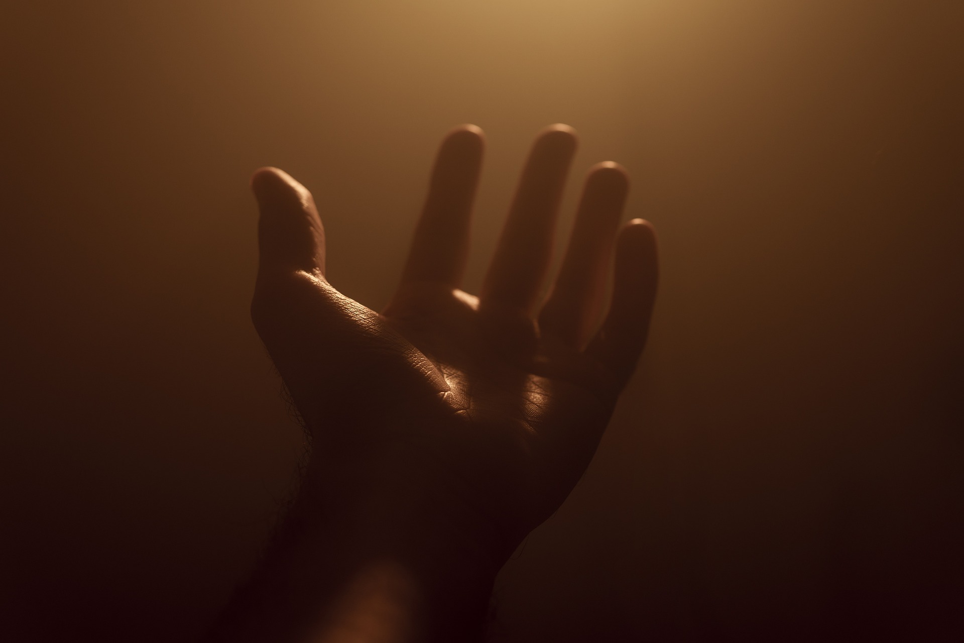 Le statut des repentis